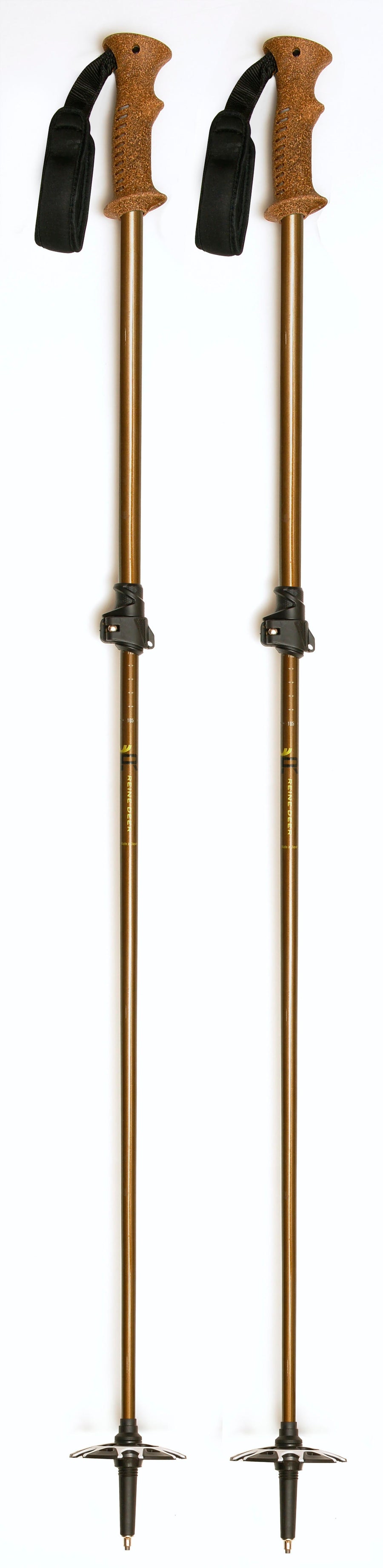 Lacquered Ski Poles - Brown